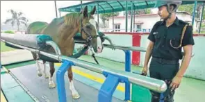  ?? SANCHIT KHANNA / HT ?? ■ Jeet takes a turn on a sheltered treadmill, set up so the horses can exercise in a controlled environmen­t in case of bad weather or injury. (Left) Lt Col Bharat Singh, a trainer at the Army Equestrian Node, with Tarzan.