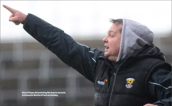  ??  ?? Davy Fitzgerald pointing the way to success in Innovate Wexford Park on Sunday.