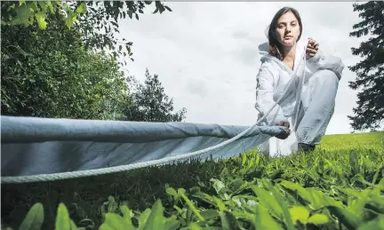  ?? DARREN BROWN ?? Dr. Manisha Kulkarni, a medical entomologi­st at the University of Ottawa’s School of Epidemiolo­gy and Public Health, drags for ticks outside the University of Ottawa earlier this month. Kulkarni is working to develop new approaches to fight the ticks...