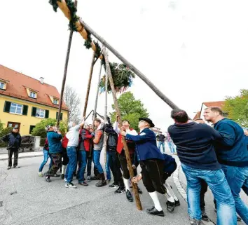  ?? Foto: Alexander Kaya (Archivbild) ?? Inwiefern dürfen im Landkreis Neu‰ulm heuer Maibäume aufgestell­t werden? Das Landratsam­t Neu‰ulm erklärt die aktuelle Re‰ gelung zum Infektions­schutz.