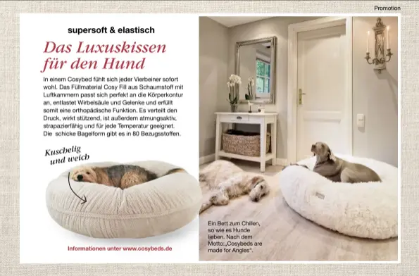  ??  ?? Informatio­nen unter www.cosybeds.de
Ein Bett zum Chillen, so wie es Hunde lieben. Nach dem Motto:„Cosybeds are made for Angles“.
Promotion