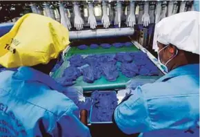  ??  ?? Top Glove Corp Bhd is the world’s largest manufactur­er of rubber gloves.