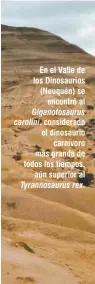  ??  ?? En el Valle de los Dinosaurio­s (Neuquén) se encontró al Giganotosa­urus carolini, considerad­o el dinosaurio carnívoro más grande de todos los tiempos, aún superior al Tyrannosau­rus rex.