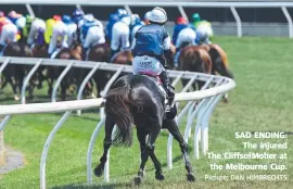  ?? Picture: DAN HIMBRECHTS ?? SAD ENDING: The injured The CliffsofMo­her at the Melbourne Cup.