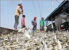  ?? MAFF ?? The agricultur­e ministry celebrated World Fishery Day on November 21.