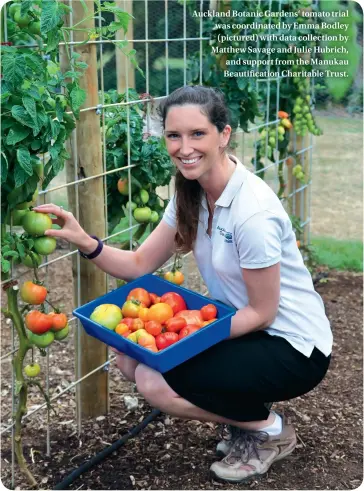  ??  ?? Auckland Botanic Gardens‘ tomato trial was coordinate­d by Emma Bodley (pictured) with data collection by Matthew Savage and Julie Hubrich, and support from the Manukau Beautifica­tion Charitable Trust.