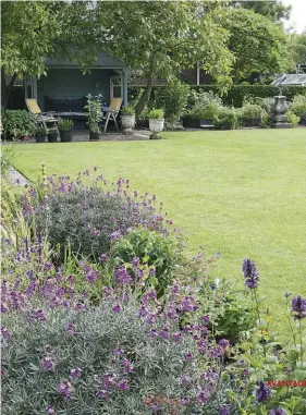  ??  ?? À gauche, vue d’ensemble sur le jardin où la lumière peut s’infiltrer largement. Le gazon, impeccable, est tondu par un robot. À droite, sur une table, Gesien a disposé des potées avec des hostas et une collection de fougères rares. Petite cage,...