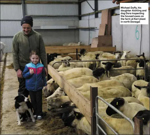  ??  ?? Michael Duffy, his daughter Aishling and dog Dora inspecting the housed ewes on the farm at Kerrykeel in north Donegal