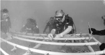  ??  ?? Sultan Ibrahim (front) plant�� coral ��eed�� on the underwater PV�� frame in Pulau Mentinggi�� — Bernama photo