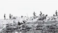  ??  ?? Squatters from Ngozi Mine forage through garbage for valuables at the dumpsite