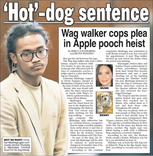  ??  ?? NOT SO RUFF: Christian Madriaga gets community service Thursday in Manhattan Criminal Court for his dog kidnap.