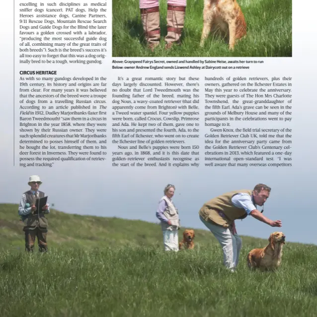  ??  ?? Above: Grayspeed Fairys Secret, owned and handled by Sabine Heise, awaits her turn to run Below: owner Andrew England sends Lizwend Ashley at Dairycott out on a retrieve