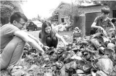  ??  ?? Students collecting the discarded heaps of coconut shells. - Bernama photo