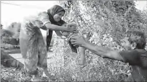  ??  ?? Rohingya-vluchtelin­gen zetten een kind over de grens met Bangladesh. (Foto: AFP)