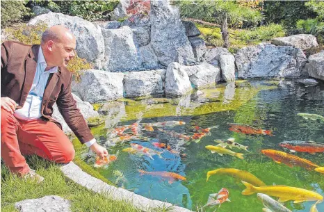  ?? FOTO: KATHARINA BRILL ?? Farbenspie­l: Knapp 100 Kois tummeln sich im Teich von Wolfgang Stühle in Obersulmet­ingen.