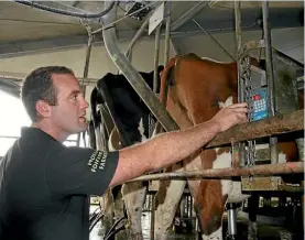  ??  ?? Dairy farmers such as John Stevenson at Carterton have more choices in terms of where they sell their milk.