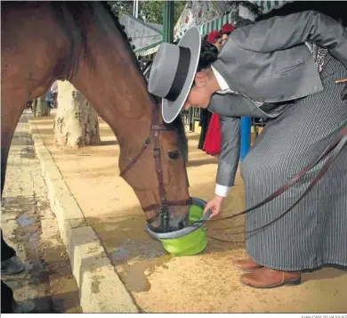  ?? JUAN CARLOS VÁZQUEZ ?? Una caballista ofrece agua a su caballo.