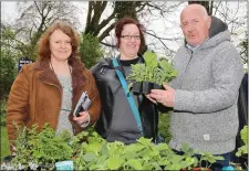  ??  ?? Yvonne Murphy chatting to Connie Philpott of Tunnel Vision, and Marion Ward of the National Learning Network Mallow, at the Artisan Food and Craft Fair at Mallow Castle on Easter Sunday.