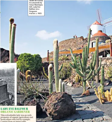  ??  ?? PIONEERS Jardin de Cactus in Lanzarote by César Manrique; left, Lady Eve Balfour on a Ferguson tractor, c. 1925
