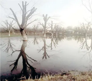  ??  ?? Escasez de agua obligó a tener un ciclo agrícola bastante restringid­o.