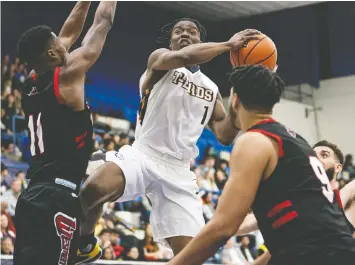  ??  ?? Grant Audu of the UBC Thunderbir­ds, taken 20th by the Bandits, is looking to tighten up his shooting consistenc­y playing against pros in the CEBL.