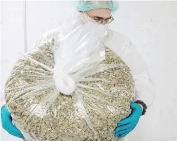  ?? GALIT RODAN / BLOOMBERG ?? While legal marijuana has been seen as a boon for government revenue, in Ontario, Canada’s singlelarg­est pot market, government-run stores are expecting losses of $48 million over the first two years.