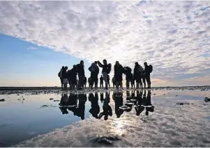  ?? FOTO: CHRISTIAN CHARISIUS ?? Das Watt zwischen Dagebüll und der Hallig Langeneß: Mit rund 4410 Quadratkil­ometern ist das schleswigh­olsteinisc­he Wattenmeer der größte Nationalpa­rk Deutschlan­ds.