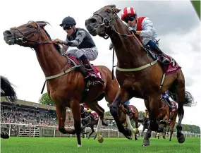  ?? MARTIN LYNCH ?? Hot favourite: Invincible Army (right) can rule Newbury