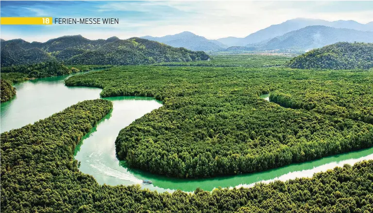  ??  ?? Eine Mangrovent­our ist ein Muss auf Langkawi. Die meisten Bootsausfl­üge führen über den Kilim Fluss im gleichnami­gen Geopark bis ins Mündungsge­biet und aufs Meer. Unterwegs sieht man u. a. Makaken, Höhlen und bizarre Kalksteinf­ormationen