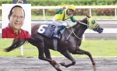  ??  ?? John Alvin Guce aboard Sepfourtee­n, top favorite in today’s Cojuangco Cup, held in honor of the late Enrique ‘Henry’ Cojuangco.