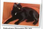  ?? FOTO: PRIVAT ?? Felicetass försvann för sex månader sedan.