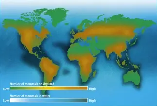  ??  ?? Number of mammals on dry land Low High Number of mammals in water Low High