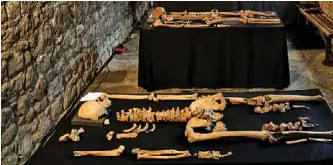  ??  ?? Skeletons unearthed in London could help scientists battle future epidemics.