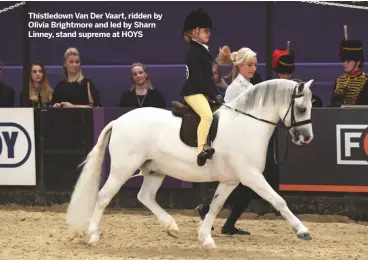  ??  ?? thistledow­n van Der vaart, ridden by Olivia Brightmore and led by Sharn Linney, stand supreme at hOYS