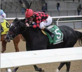  ?? NYRA/JOE LABOZZETTA ?? Fogotten Hero with Mike Luzzi aboard won Saturday’s $150,000New York Stallion Series Fifth Avenue division for juvenile fillies at Aqueduct Racetrack.