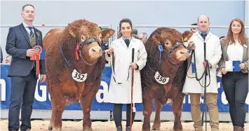  ?? ?? Success (l-r) Limousin judge Llyr Hughes, intermedia­te champion bull Ronick Sirlancelo­t, handler/owner Stephanie Dick, reserve intermedia­te champion bull Anside Samson, owner Martin Irvine and Isla Shaw from Galbraith