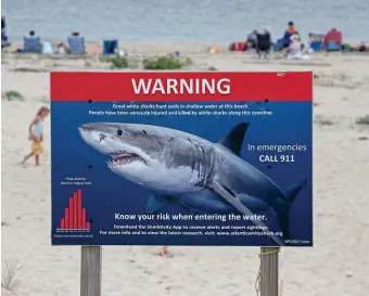  ?? STUART CAHILL / HERALD STAFF FILE ?? KEPT AWAY: A shark deterrent device made in Australia reduces the likelihood of a shark bite by 66% during testing. Shark deterrent sales have been climbing on Cape Cod following the recent incidents of great white sharks biting a few people.
