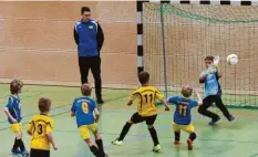  ?? Foto: Andreas Lenuweit ?? 27 Mannschaft­en der E-, F- und G-jugend spielten beim Hallenturn­ier in Bad Wörishofen mit. Dabei fielen reichlich Tore.