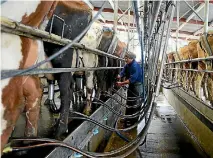  ?? PHOTO: LOREN DOUGAN/FAIRFAX NZ ?? Fonterra has kept its milk price at $6 per kilogram of milksolids in its latest forecast update.
