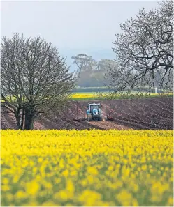  ?? Picture: Kris Miller. ?? Spring work was in full swing at Muirdrum as farmers made up time after a late start to the season.