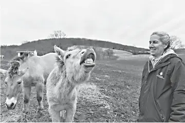  ??  ?? Delores Reed, a supervisor­y biologist, with Przewalski’s horses at the Smithsonia­n’s Conservati­on Biology Institute in Front Royal,Virginia, which works to save endangered species, including these wild horses, from extinction. — Washington Post photos by Ricky Carioti