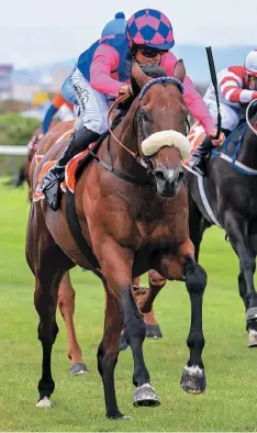  ?? ROYAL AUSSIE
Picture: Chase Liebenberg ?? Trainer Justin Snaith runs
Stakes at Hollywoodb­ets Greyville today.
in the Grade 2 Independen­t On Saturday Drill Hall