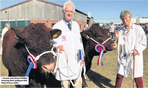  ??  ?? Grania and Simon Phillips showing their pedigree Red Ruby Devon cattle