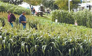  ??  ?? The pasture, grain and vegetable site displays at Farm World.