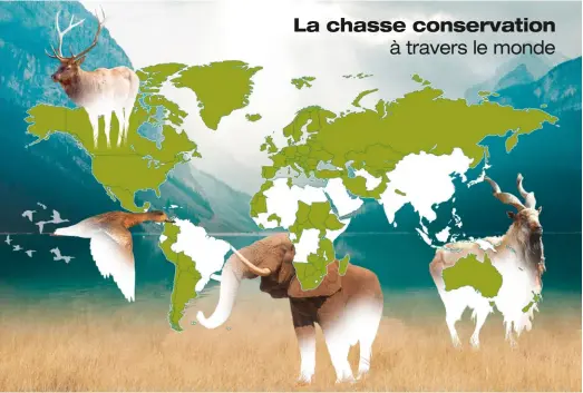  ??  ?? La chasse conservati­on à travers le monde