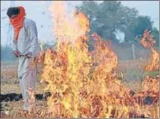  ?? AFP ?? A farmer burns paddy stubble on the outskirts of Amritsar .