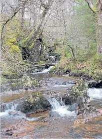  ?? Pictures: James Carron. ?? Clockwise from above: Allt a’Mhangam; Little Fawn Falls; a life-sized bronze sculpture of a member of the Women’s Timber Corps; and a carved owl hiding in the trees.