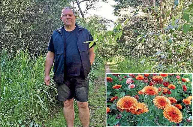  ??  ?? ‘‘It’s developing a relationsh­ip with nature, where nature is respected.’’ Robert van der Touw Robert van der Touw has spent 20 years researchin­g the medicinal properties of native plants. While not a native, Calendula has great healing properties.