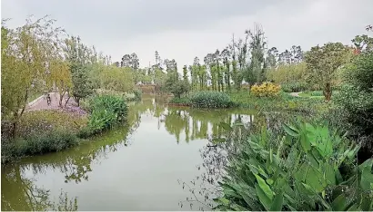  ??  ?? Picture postcard beauty: The Kunming's wetland park, a main component of Kunming's city-building project