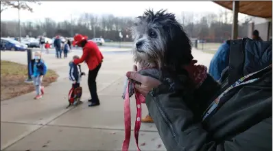  ?? (AP/Martha Irvine) ?? Trixie, a comfort dog, waits to greet students Dec. 2 at the early elementary wing of the Paw Paw Elementary School. Principal Melissa Remillard (in red in background) and other staff members also greet students.